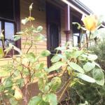 Albion Cottage - Surfers Paradise Gold Coast 0