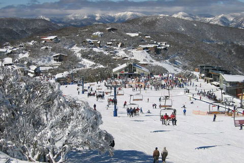 Snowflake 12 - Surfers Paradise Gold Coast 7