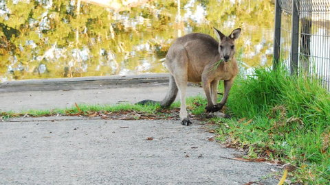 Riverfront Delight - Surfers Paradise Gold Coast 3