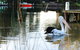 Riverfront Delight - thumb 4