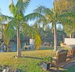 The Oasis on Jacobs Drive - Surfers Paradise Gold Coast