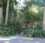 Avoca Park