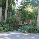 Avoca Park - Surfers Paradise Gold Coast 0