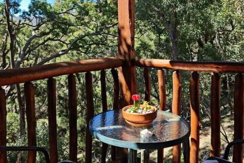 Shady Creek Eco Cabin - Surfers Paradise Gold Coast 1