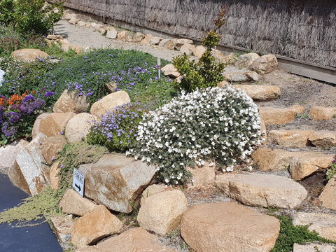 Sapphire Shores Luxury Retreat - Surfers Paradise Gold Coast 4