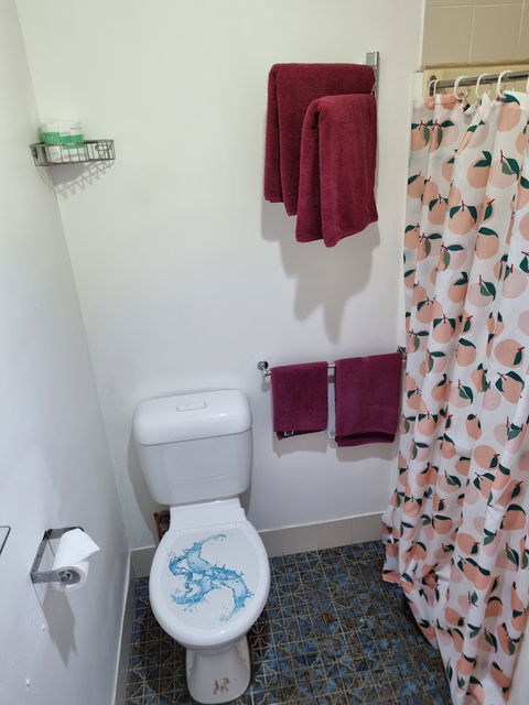 Taree Lodge Motel - Surfers Paradise Gold Coast 4