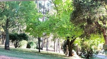 Eemnes Park Estate - Surfers Paradise Gold Coast 6