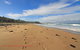 The Surf Way Cottage Berrara - thumb 3