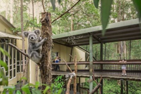 Springwood Meditation Vacation Center - Surfers Paradise Gold Coast 0