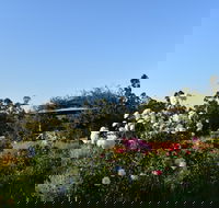 Labertouche Gypsy Creek Winery - Surfers Paradise Gold Coast