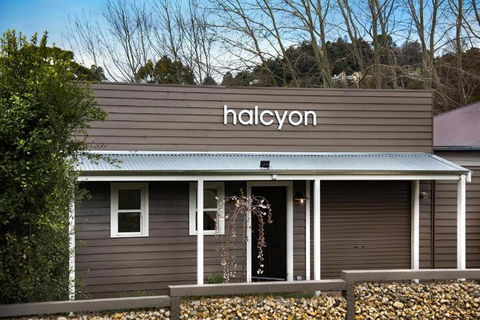 Halcyon - Surfers Paradise Gold Coast 3