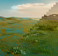 Habitat Noosa - Surfers Paradise Gold Coast