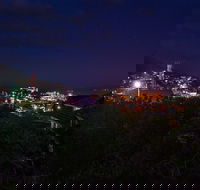 Serpentine Rose - Surfers Paradise Gold Coast