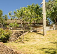 Loquat Hill - Surfers Paradise Gold Coast