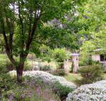 Naturescape