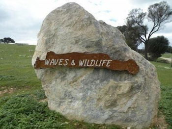Waves And Wildlife - Surfers Paradise Gold Coast 3
