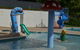 Porepunkah Pines Holiday Park - thumb 6