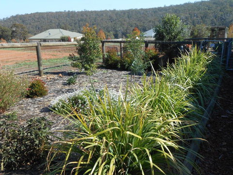 Lakeview - Surfers Paradise Gold Coast 6