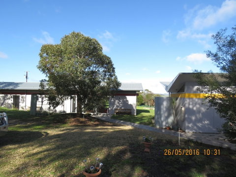 Lush Pastures - Surfers Paradise Gold Coast 0