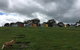 Lush Pastures - thumb 1