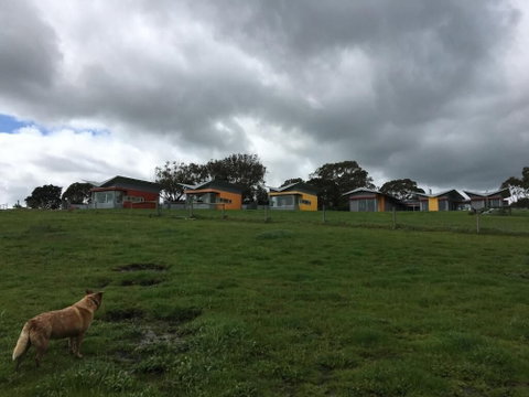 Lush Pastures - Surfers Paradise Gold Coast 1
