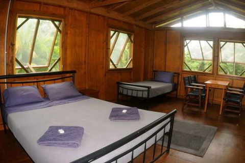 Daintree Rainforest Bungalows - Surfers Paradise Gold Coast 4