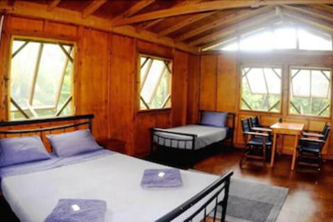 Daintree Rainforest Bungalows - Surfers Paradise Gold Coast 5