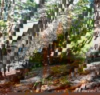 Green Leaves Cabin - Surfers Paradise Gold Coast