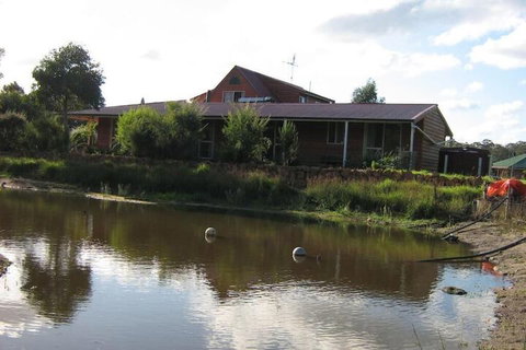 Windrose B&B - Surfers Paradise Gold Coast 3