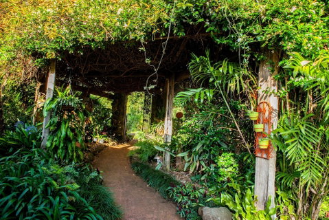 Tamborine Mountain B&B - Surfers Paradise Gold Coast 1