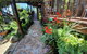 Tamborine Mountain B&B - thumb 2