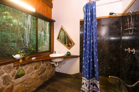 The Epiphyte Bed & Breakfast - Surfers Paradise Gold Coast 5