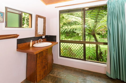 The Epiphyte Bed & Breakfast - Surfers Paradise Gold Coast 0