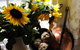 Red Feather Inn - thumb 5