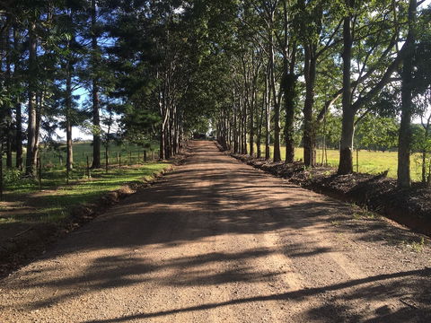 Blackwattle Farm B&B And Farm Stay - Surfers Paradise Gold Coast 3