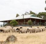 Gilgraves Vineyard Farmstay - Surfers Paradise Gold Coast