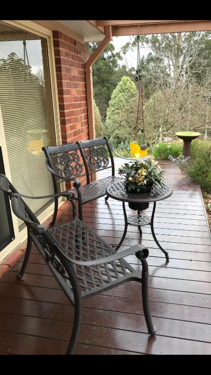 Holly Cottage - Surfers Paradise Gold Coast 2