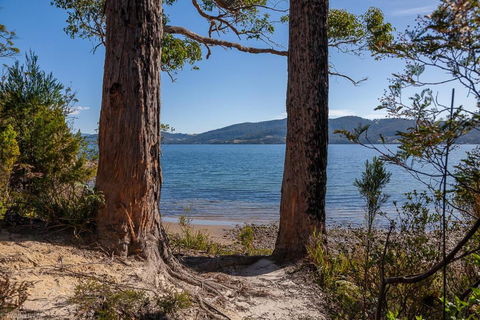 Fairwinds Tasmania - Surfers Paradise Gold Coast 6