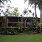 Hidden Oasis Pet Friendly In Anna Bay - Surfers Paradise Gold Coast 1