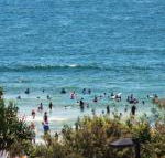 Pacific Towers Unit 4 19 Ormonde Tce Kings Beach - Surfers Paradise Gold Coast