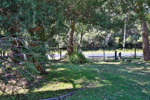Innisfree Pet Friendly 2 Mins To Beach - Surfers Paradise Gold Coast 1