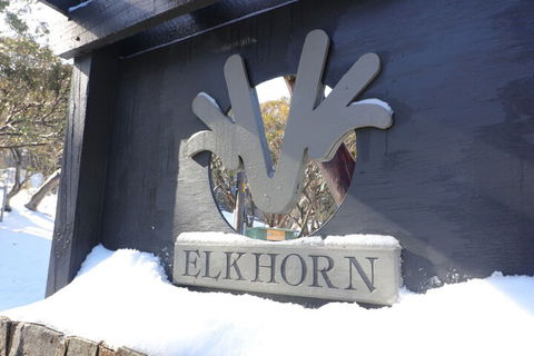 Elkhorn 11 - Surfers Paradise Gold Coast 2