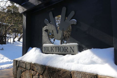 Elkhorn 11 - Surfers Paradise Gold Coast 1