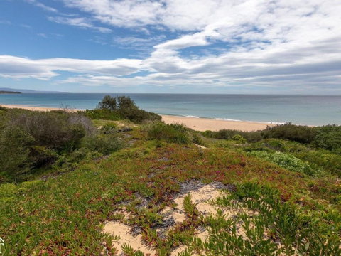 Aloha Direct Beach Access From Property - Surfers Paradise Gold Coast 3