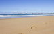 Dolphin Breeze Fully Fenced & Pet Friendly - thumb 2