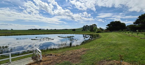 New Horizons Farm Stay - Surfers Paradise Gold Coast 6