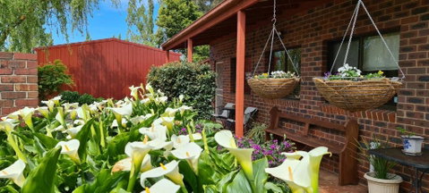 New Horizons Farm Stay - Surfers Paradise Gold Coast 1