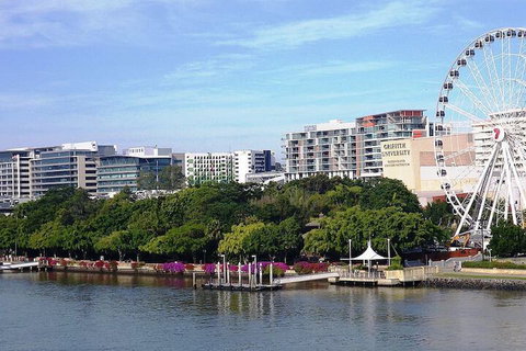 Rochedale Spacious Holiday 4 Bedrooms House Qro009 - Surfers Paradise Gold Coast 6