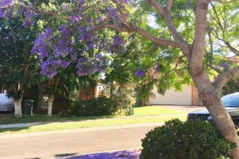 ULTRA SPACIOUS STYLISH HOME In PRESTONS SYDNEY - Surfers Paradise Gold Coast 7