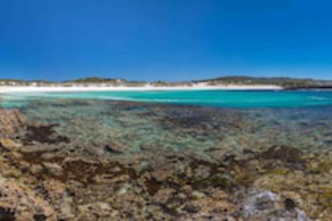 Hanson Bay Wildlife Sanctuary And Cabins - Surfers Paradise Gold Coast 0